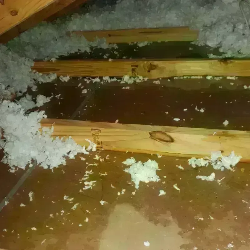 Attic Water Damage in Ontario, OR